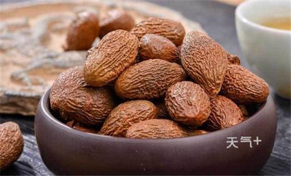 胖大海有降壓利尿、抗菌消炎的功效