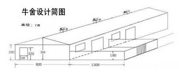 養(yǎng)牛技術