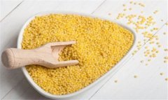 粟米是什么米？粟米的功效與作用及食用方法