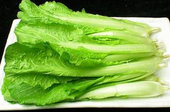 小白菜的營養(yǎng)價(jià)值 吃小白菜的好處