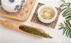 飲茶能治頭痛嗎？關(guān)于飲茶治頭痛的記載