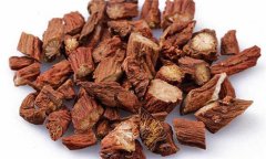 丹參的性能、主治、臨床應(yīng)用及用藥注意事項(xiàng)