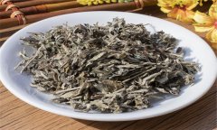 艾葉的性能、主治、臨床應(yīng)用及注意事項(xiàng)