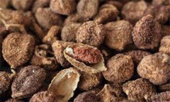 砂仁的功效與作用是什么 砂仁的用法、用量與禁