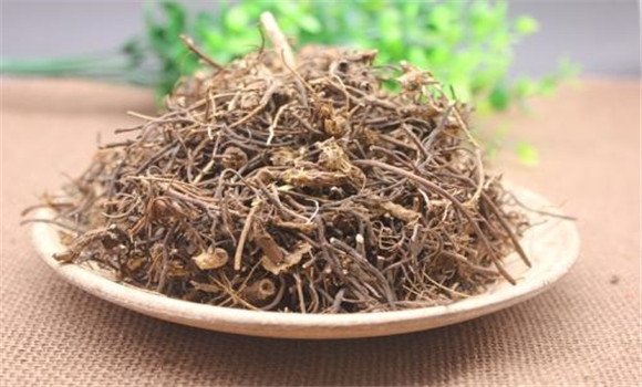 威靈仙的用法、用量與禁忌