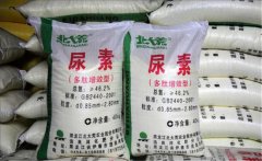 氮肥利用率大約是多少，氮肥是尿素肥嗎？