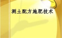 什么是測(cè)土配方施肥，測(cè)土配方施肥的基本要求