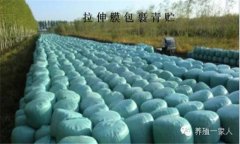 青貯飼料的調(diào)制方法、技術(shù)要點與注意事項