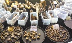 怎樣安全貯存蔬菜種子？蔬菜種子知識(shí)