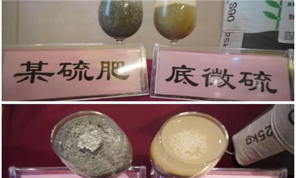 硫肥的種類(lèi)有哪些