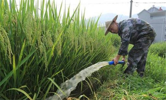 科學(xué)管水、防止早衰