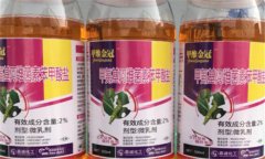 bt殺蟲劑的最佳使用方法，需掌握以下四點(diǎn)