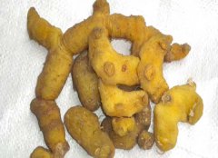 黃精的產(chǎn)地有哪些？
