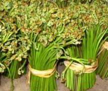蕨菜的營養(yǎng)價(jià)值有哪些？