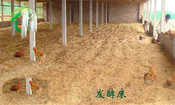 提升空氣質(zhì)量，減輕呼吸道炎癥等疾病