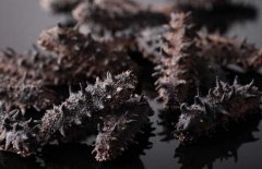 如何選購干海參？干海參的發(fā)泡方法