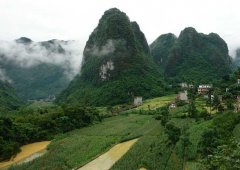 目前較好的農(nóng)村致富項(xiàng)目有哪些？