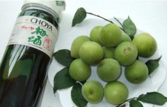 怎樣自制梅子酒？介紹梅子酒的做法