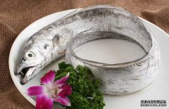 帶魚(yú)的產(chǎn)地、分布生活習(xí)性與品種分類(lèi)