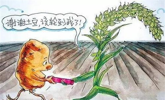 改善栽培制度，合理輪作
