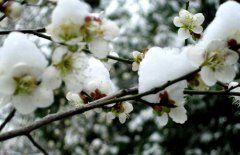 小寒節(jié)氣是什么意思？小寒節(jié)氣的氣候特征