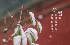 小雪節(jié)氣是什么意思，小雪節(jié)氣吃什么食品？