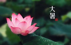 大暑是幾月幾日，大暑的節(jié)日民俗的哪些？