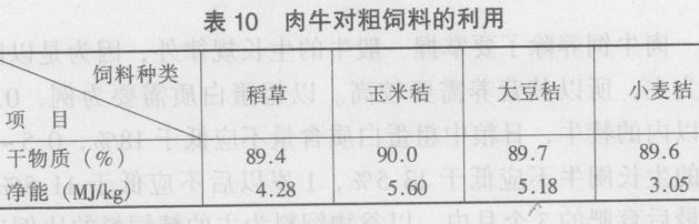 肉牛的飼養(yǎng)技術