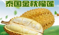 榴蓮品種介紹 常見的榴蓮品種有哪些？