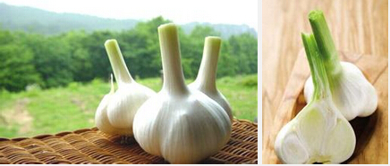 大蒜的營養(yǎng)價(jià)值有哪些 吃大蒜的好處