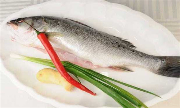 鱸魚(yú)多少錢(qián)一斤