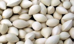 白果的功效與作用及食用方法、禁忌