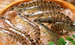 如何養(yǎng)殖沼蝦，沼蝦養(yǎng)殖技術(shù)須知