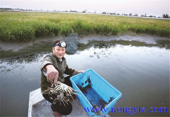 水源充足、水質(zhì)清新無(wú)污染