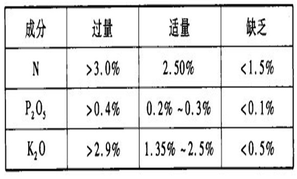蘋(píng)果園的施肥與灌溉技術(shù)
