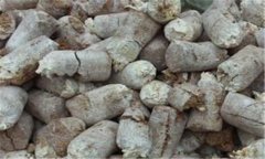 食用菌菌糠的營養(yǎng)成分、用途與再利用前景分析