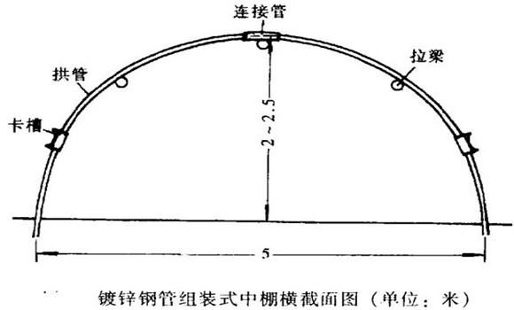 塑料中棚加外覆蓋能明顯使蔬菜早熟，效益高