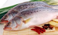 鱸魚是海魚還是淡水魚，海鱸魚和河鱸魚的區(qū)別
