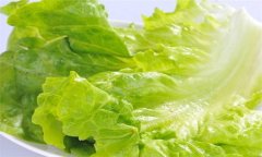 生菜的營養(yǎng)成分，生菜的營養(yǎng)價值及功效有哪些