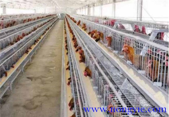 保溫、防暑和通風(fēng)性能好