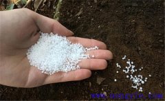 用尿素喂牛的方法，尿素喂牛應(yīng)注意的問題
