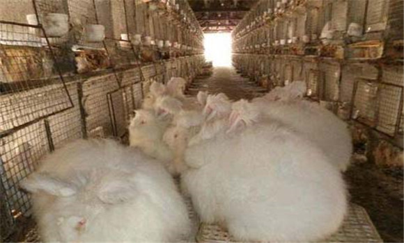 飼料要搭配、交換