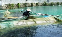 魚赤皮病的治療方法、是什么引起、有什么癥狀