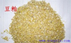 怎樣用豆粕喂牛，豆粕和豆餅喂牛效果一樣嗎？