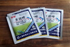 如何正確使用多效唑，用多了發(fā)生藥害怎么辦？