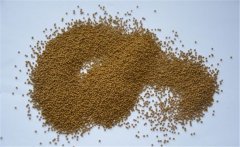 泥鰍的飼料以什么為主？養(yǎng)殖泥鰍的飼料建議配