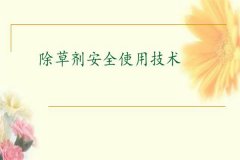 除草劑安全使用要點(diǎn) 發(fā)生除草劑藥害如何補(bǔ)救？