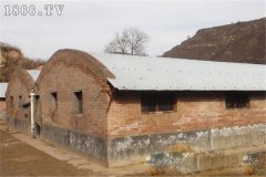 麝鼠圈舍建筑方法與要求有哪些？