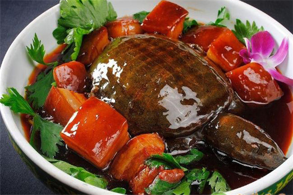 甲魚(yú)的營(yíng)養(yǎng)價(jià)值、性味功效