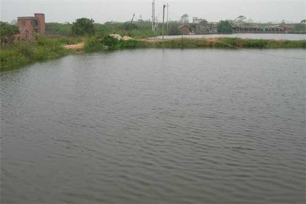 高溫季節(jié)如何給魚(yú)池注水